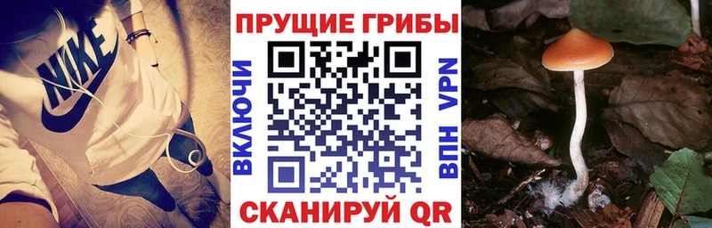 Галлюциногенные грибы ЛСД  kraken вход  Нижняя Салда 